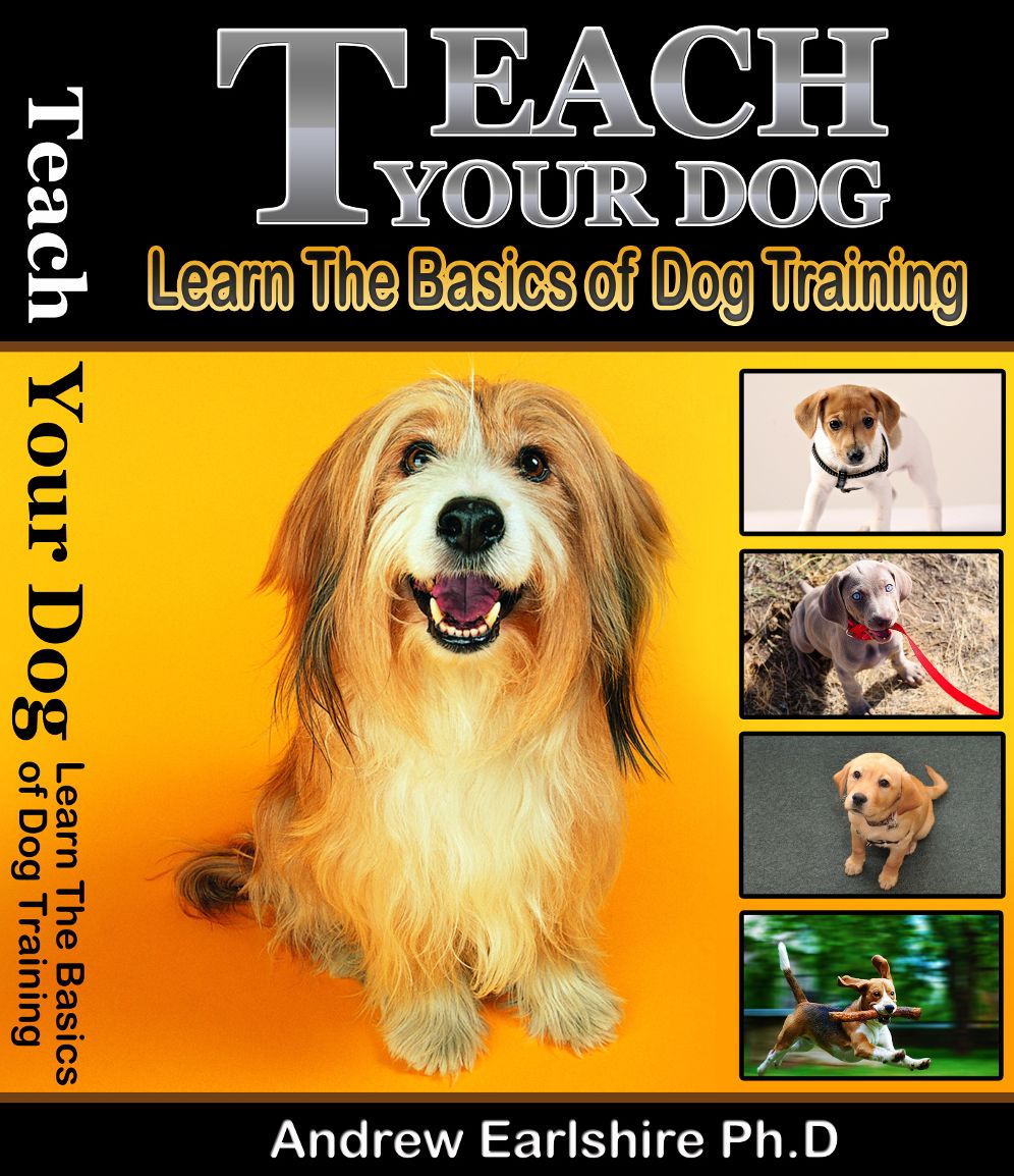 Teach Your Dog