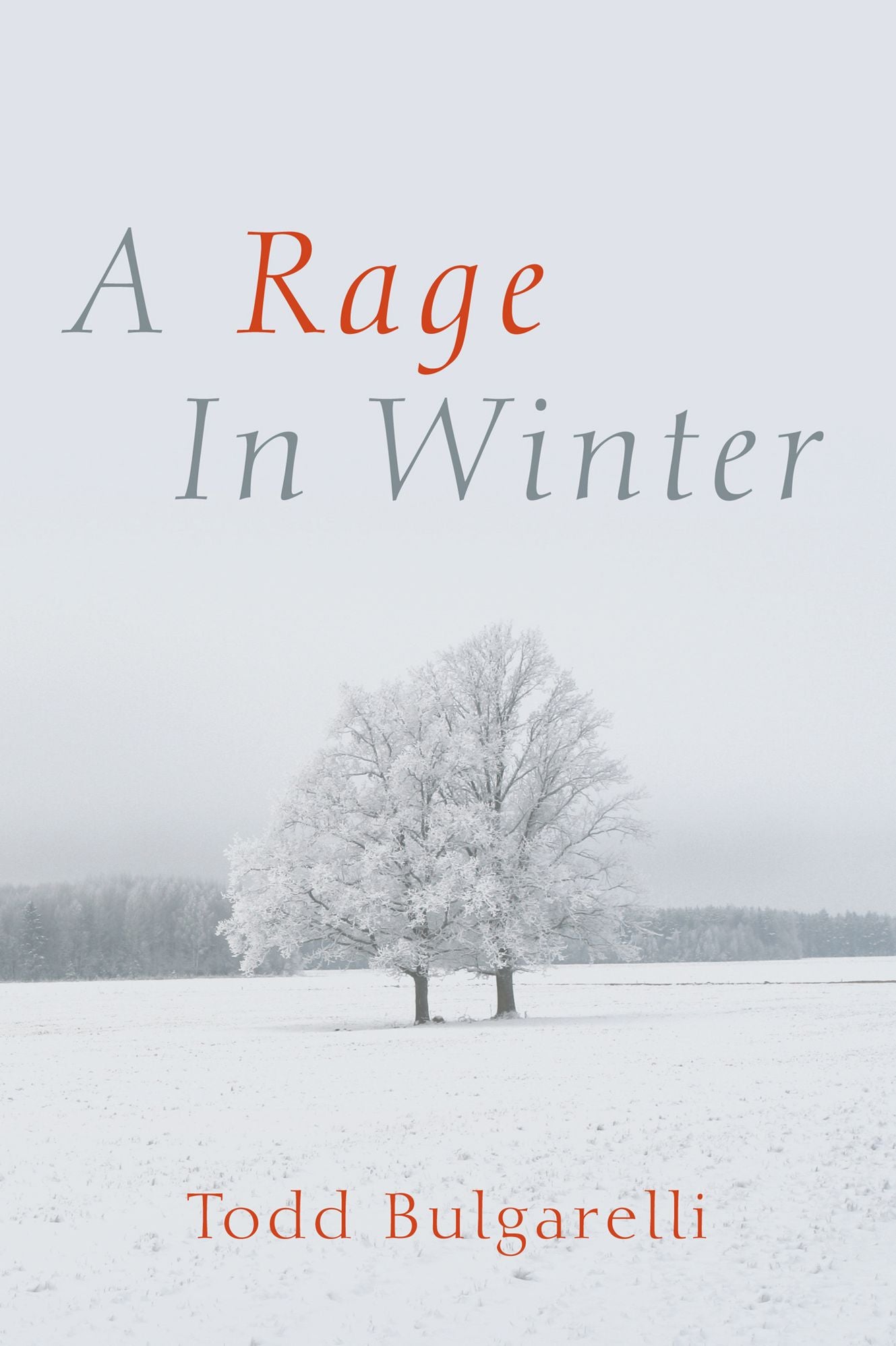 A Rage In Winter
