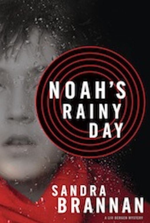 Noah's Rainy Day