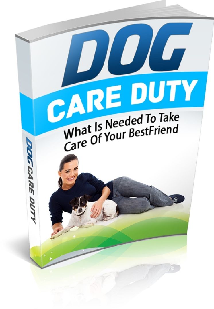 Dog Care Duty: What Is Needed To Take Care Of Your Best Friend