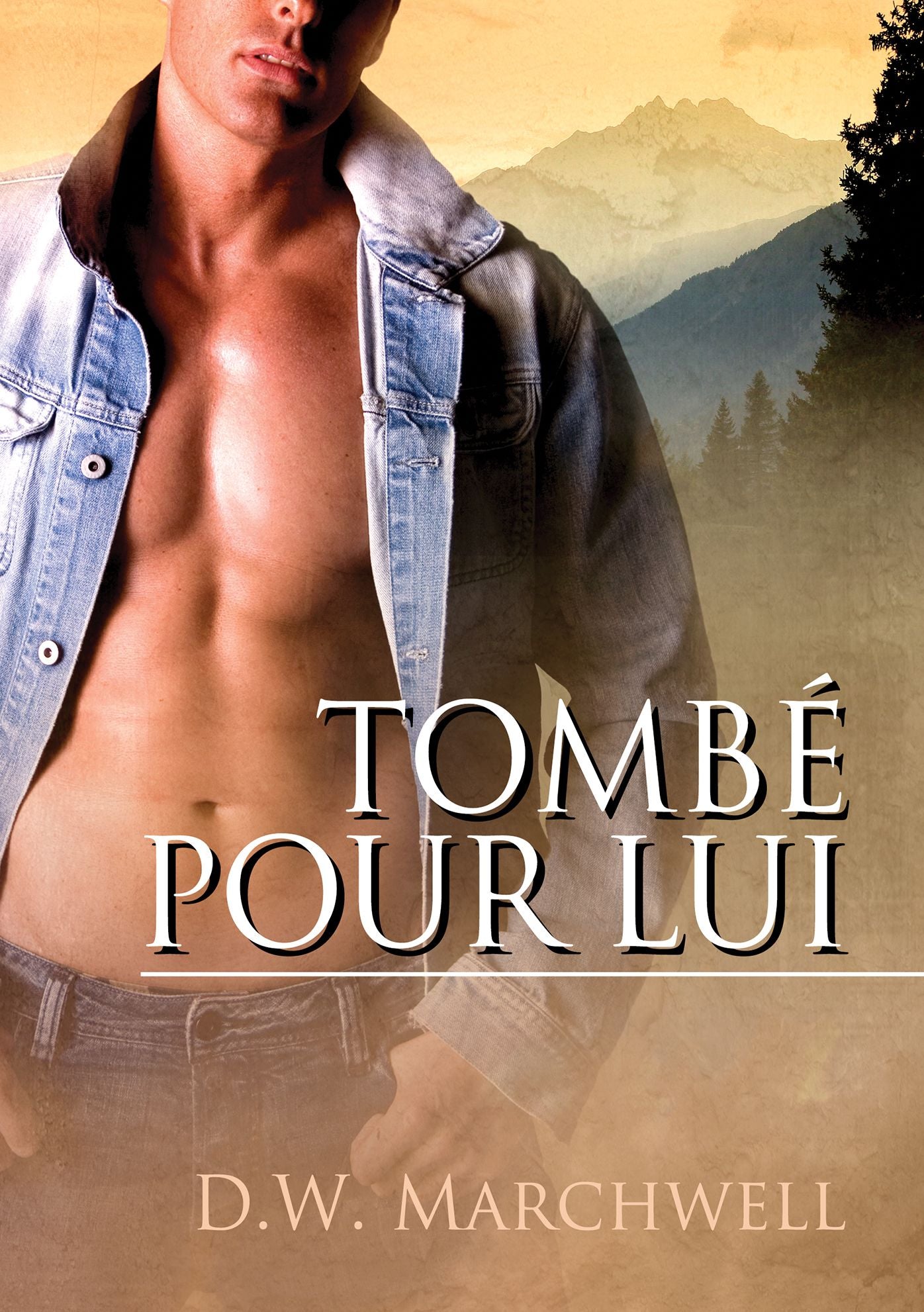 Tombe pour lui