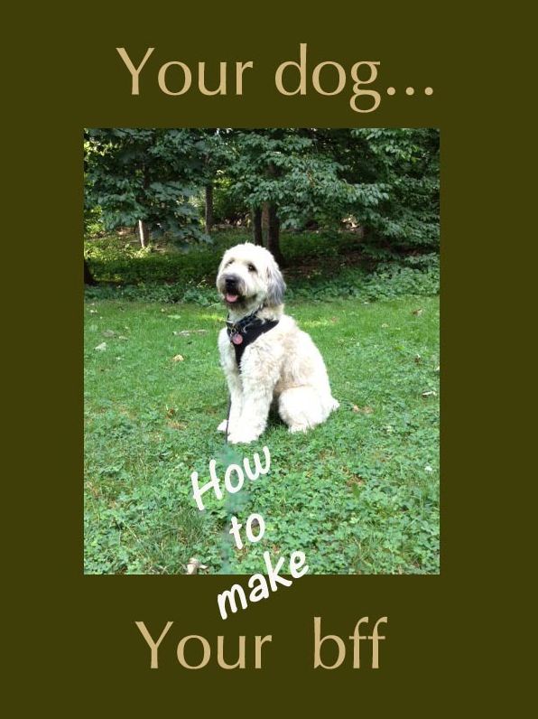 Your Dog, Your BFF (How to Make)