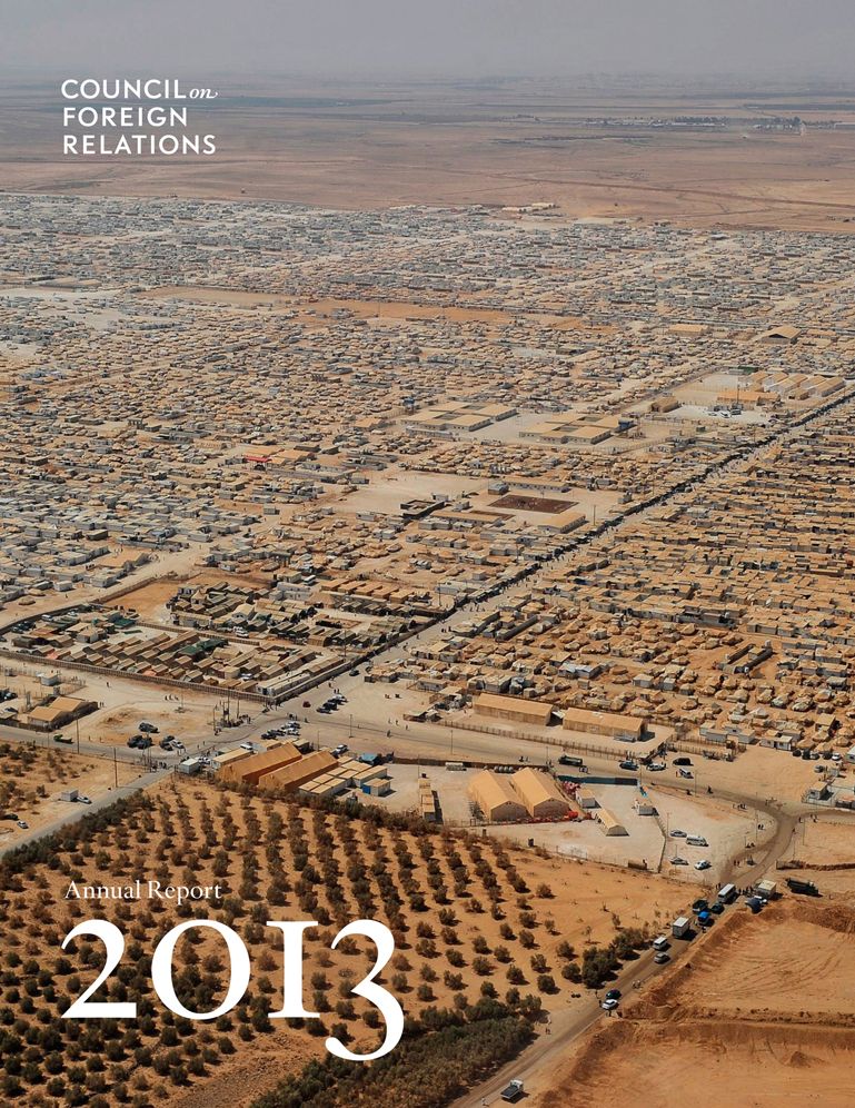2013 Annual Report