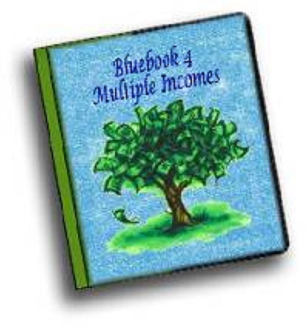 Bluebook 4 Multiple Incomes