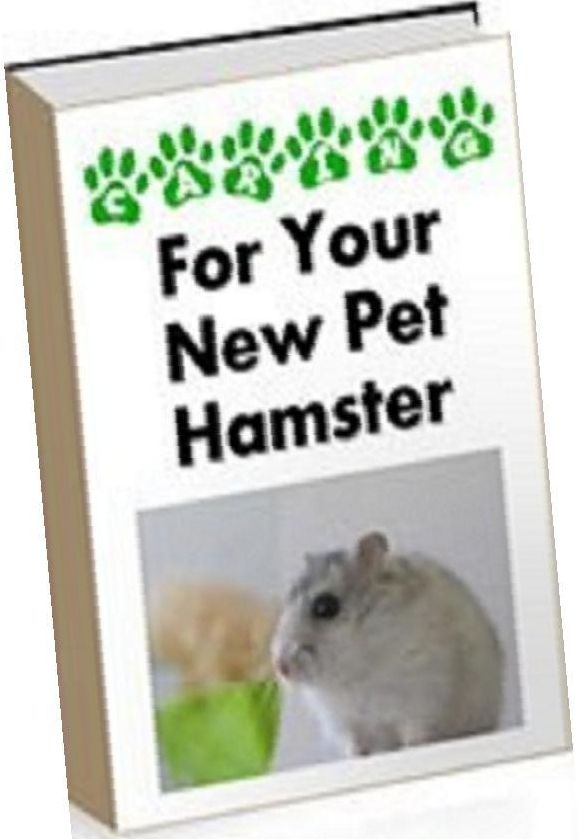 eBook about Caring for your Pet Hamster - Housing For Your New Hamster