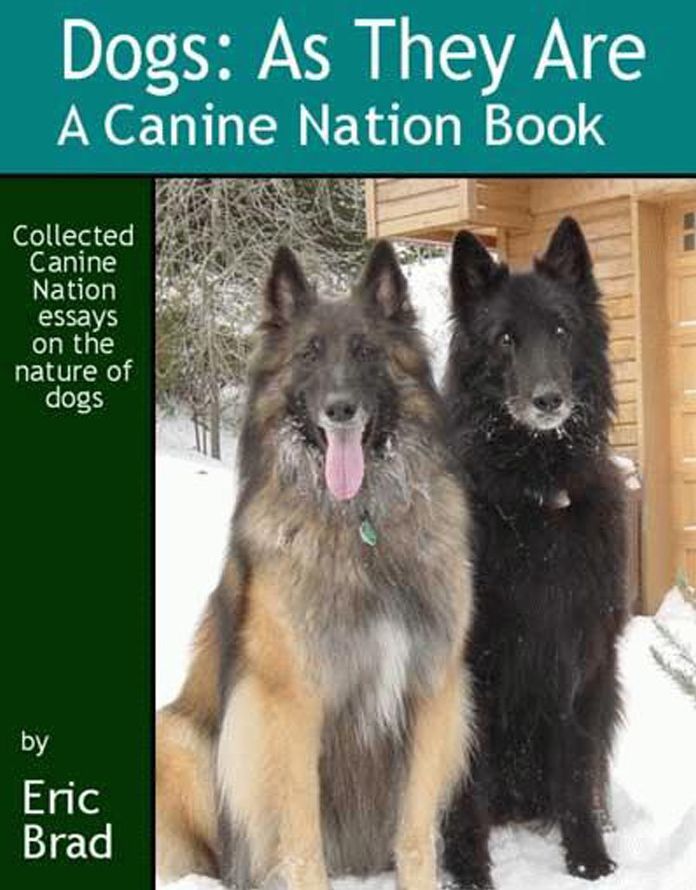 Dogs: As They Are