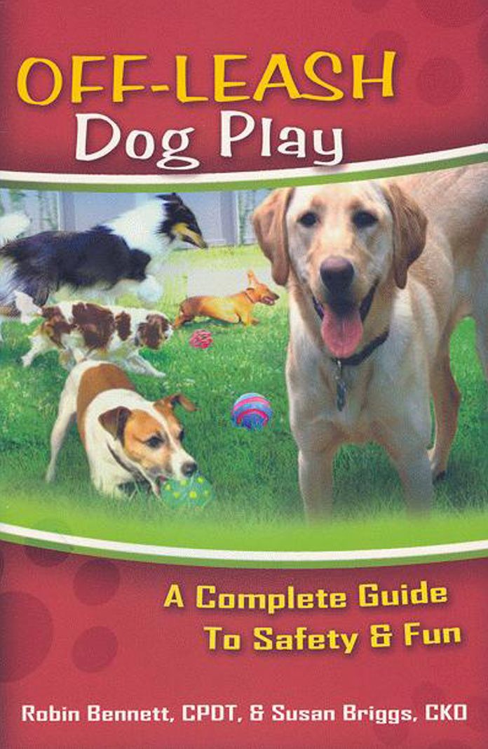 Off-Leash Dog Play: A Complete Guide to Safety & Fun