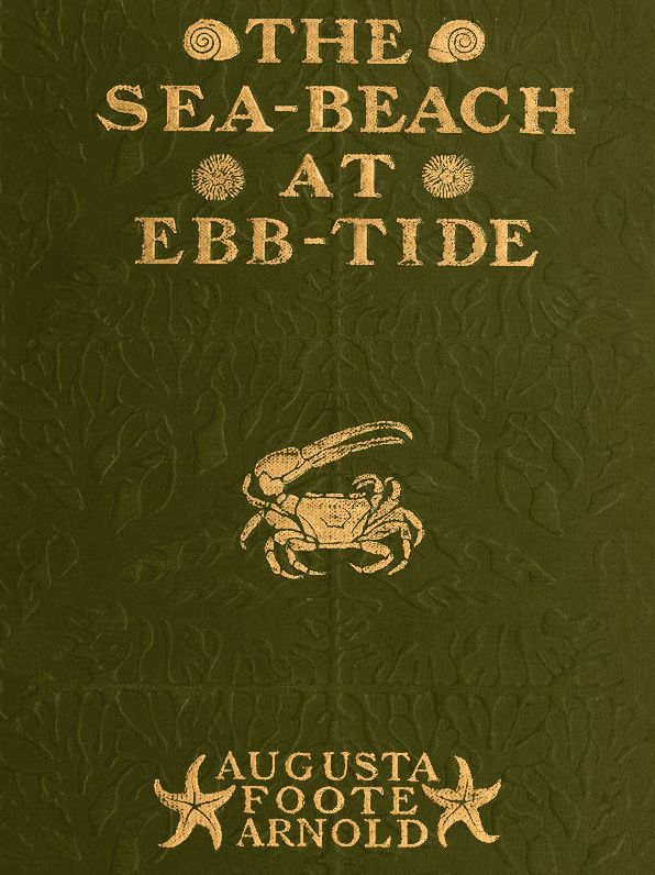 The Sea-beach at Ebb-tide