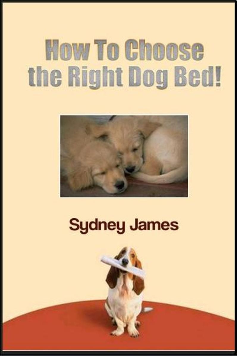 How to Choose the Right Dog Bed
