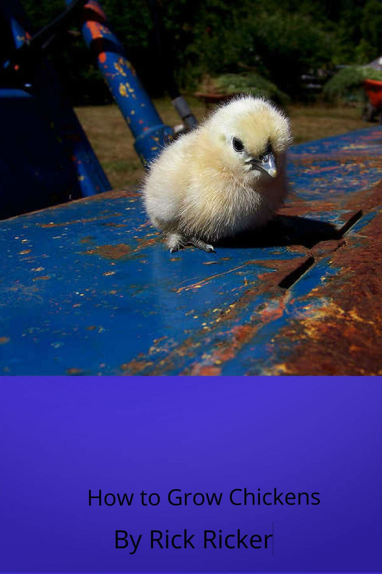 How to Grow Chickens