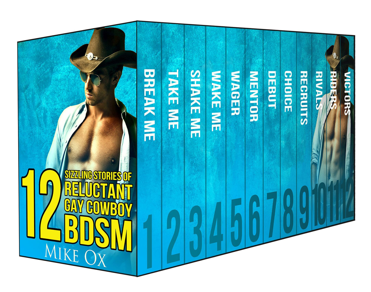 12 Sizzling Stories of Reluctant Gay Cowboy BDSM
