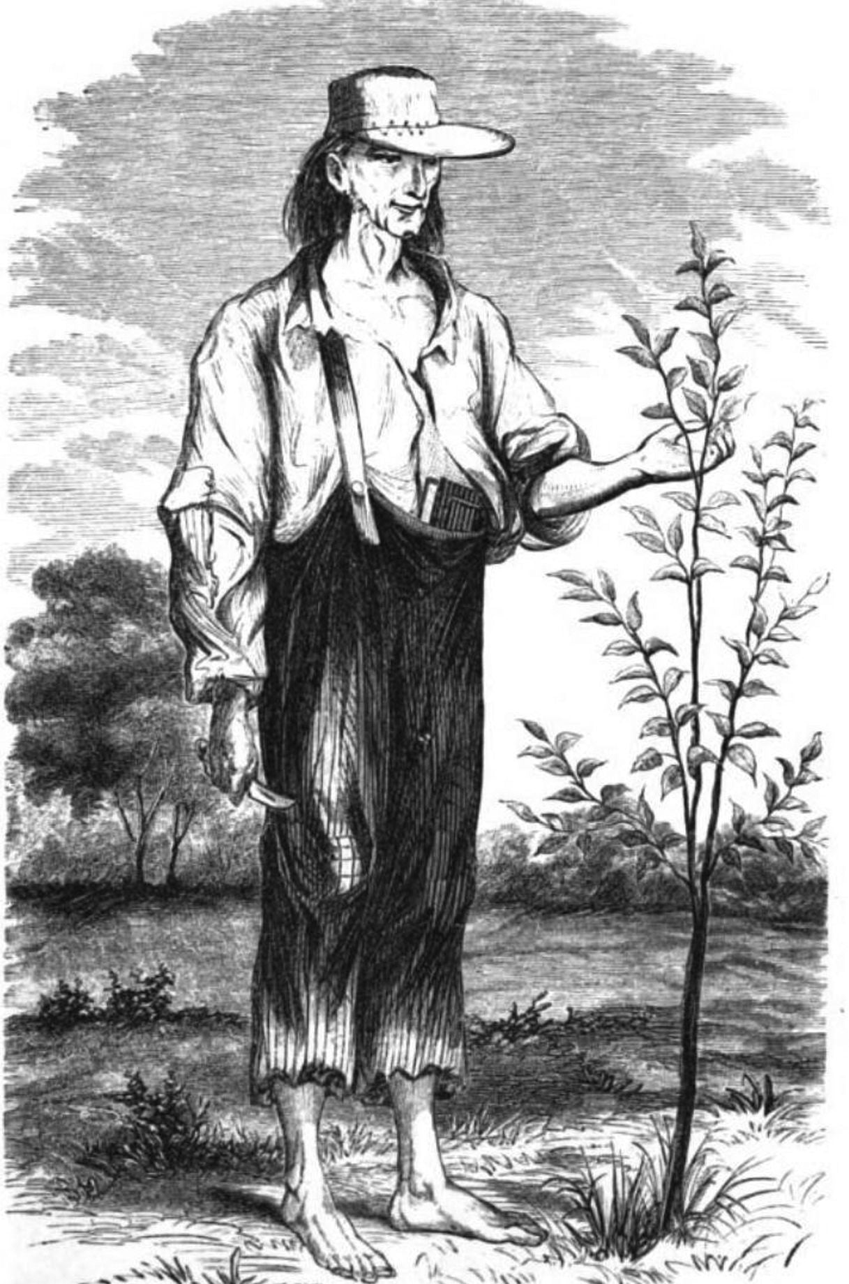 Johnny Appleseed: The Romance of the Soweror