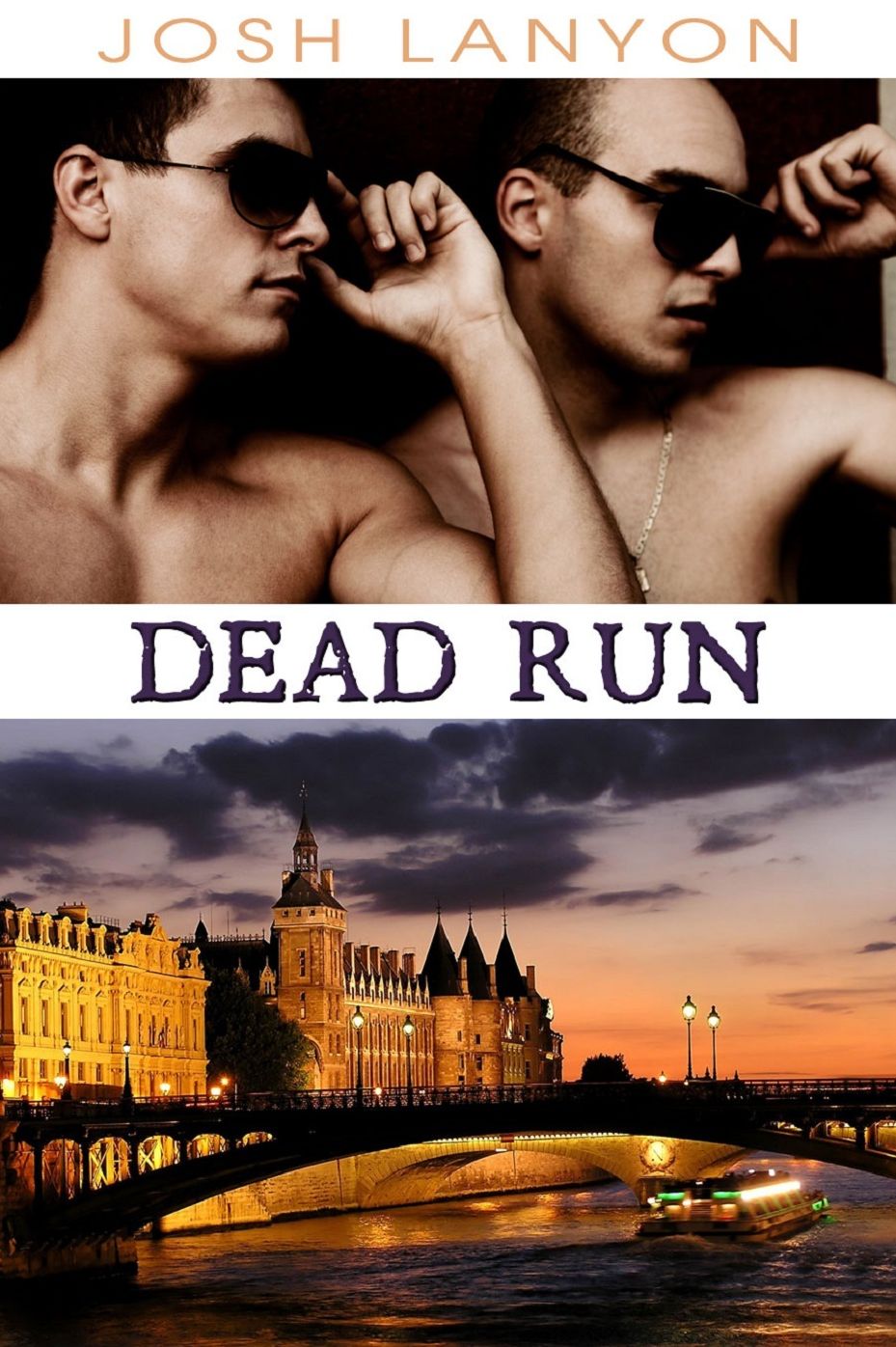 Dead Run (Dangerous Ground 4)