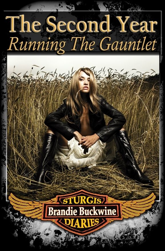The Sturgis Diaries: The Second Year Running the Gauntlet