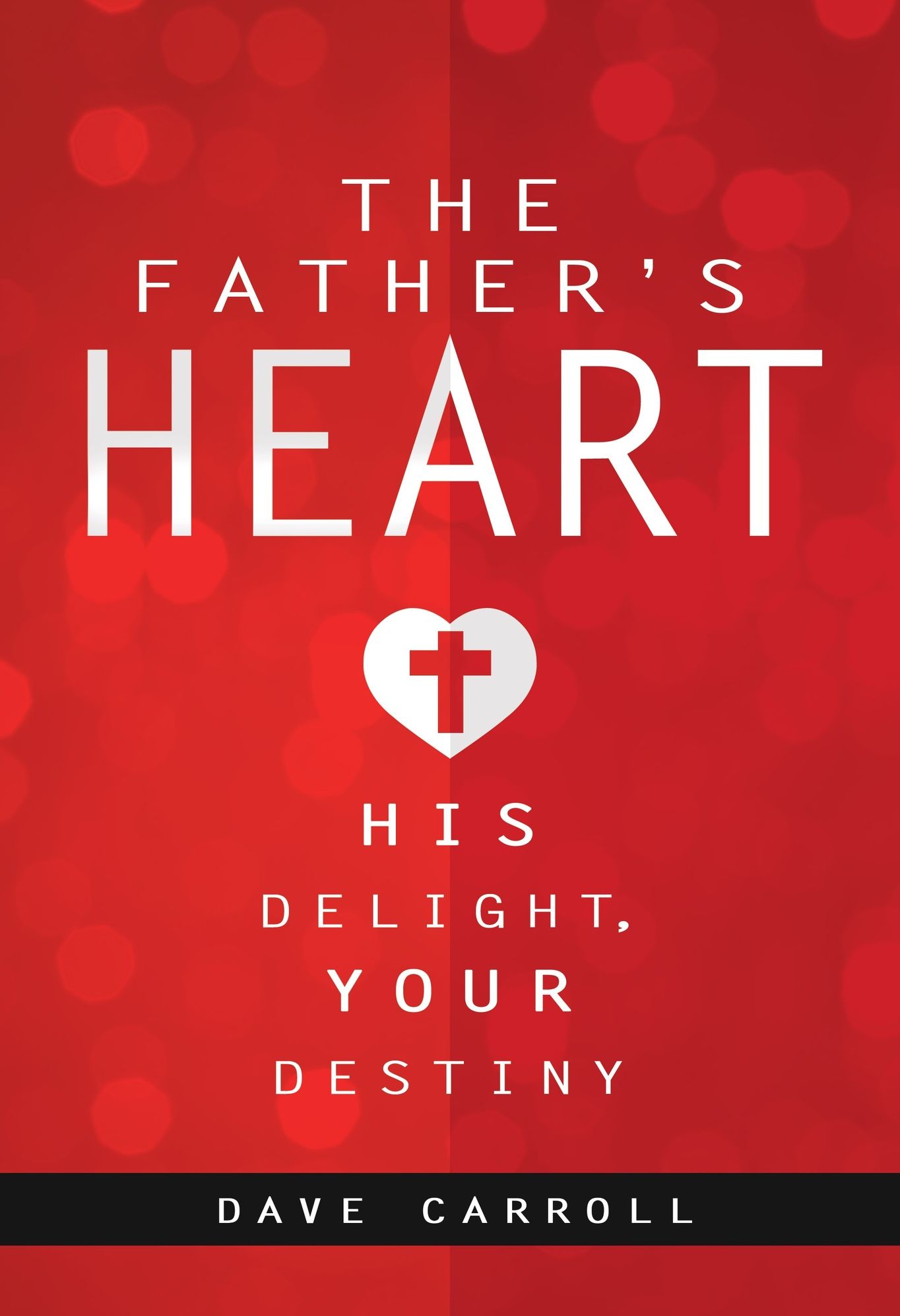 The Father's Heart: His Delight, Your Destiny