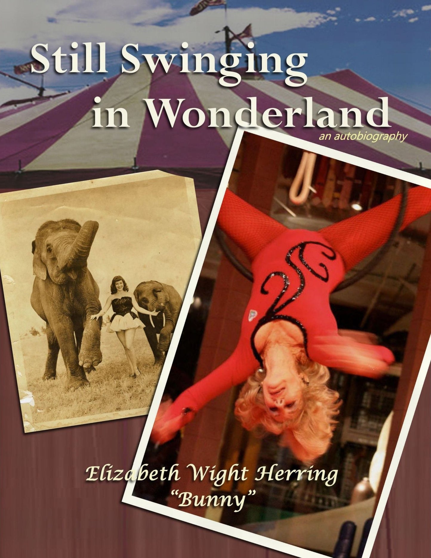 Still Swinging in Wonderland