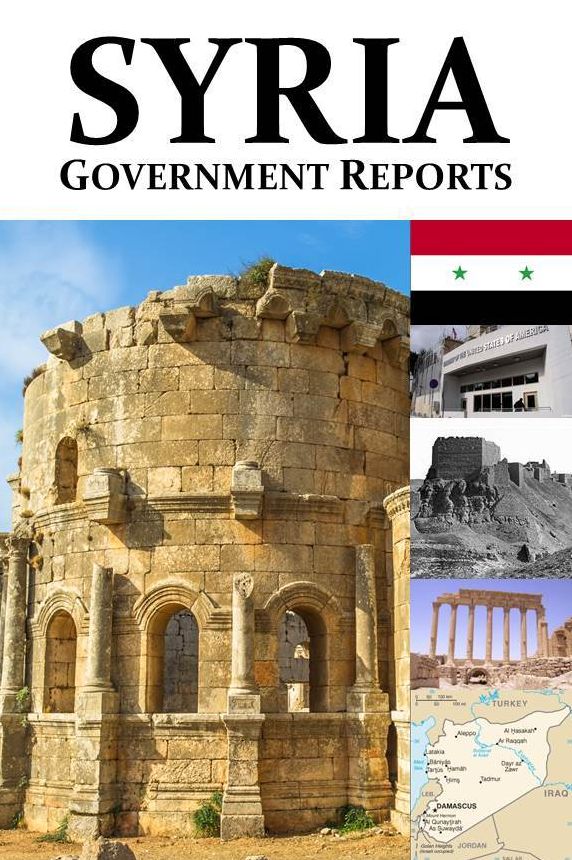 Syria: Government Reports