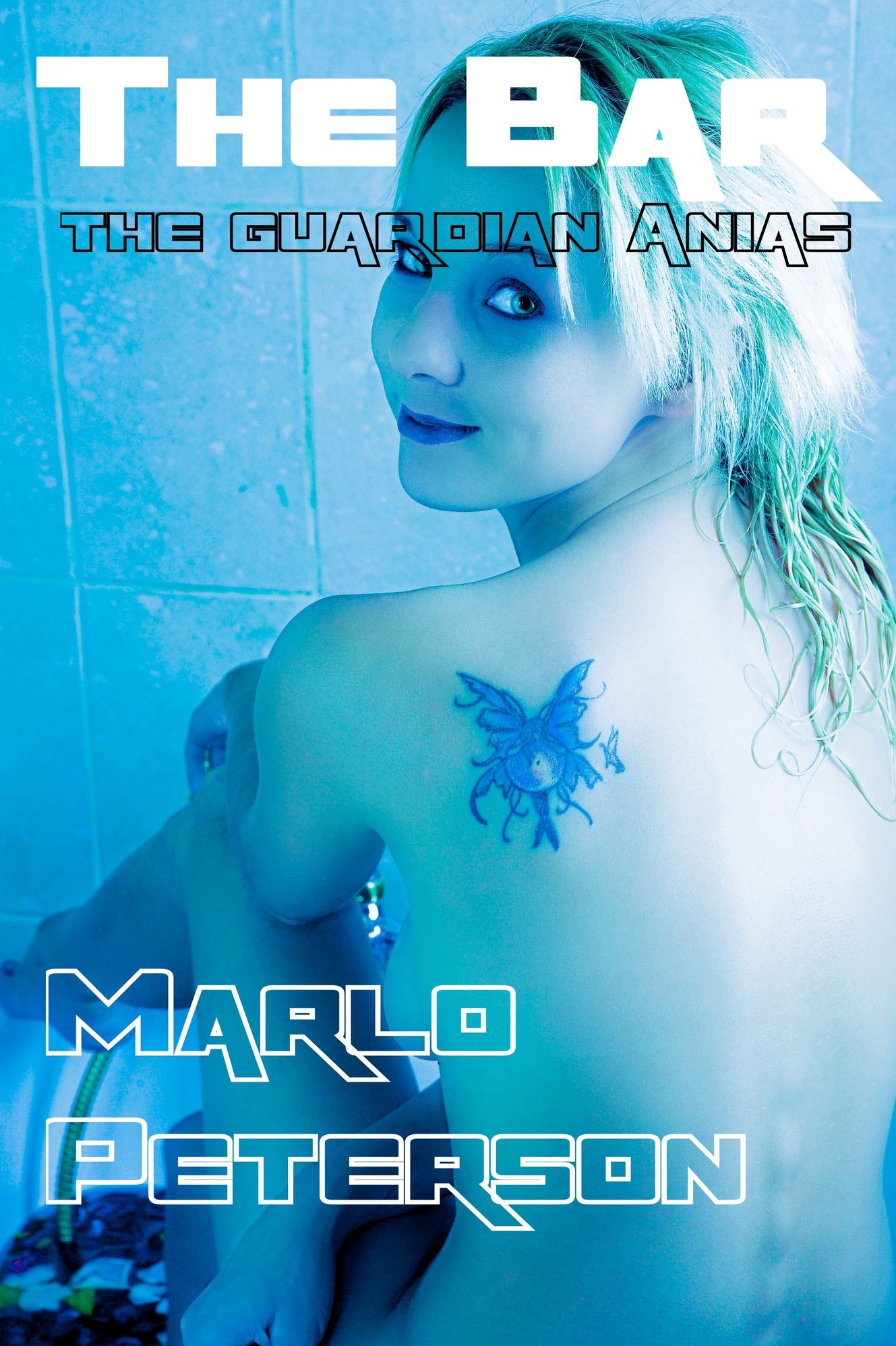 The Bar: The Guardian Anias (Science Fiction Fantasy Romance)