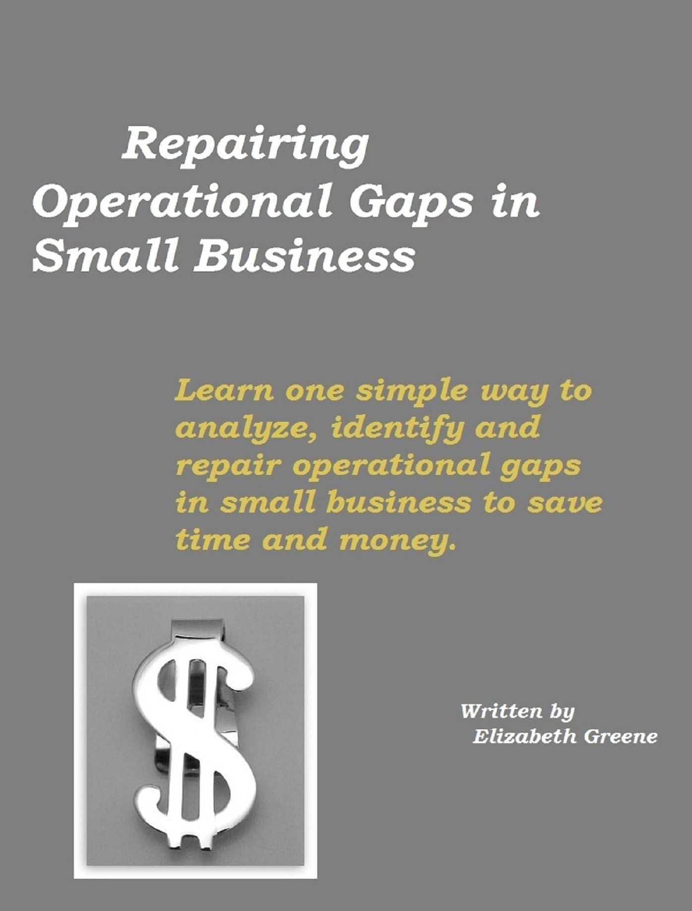 Repairing Operational Gaps in Small Business