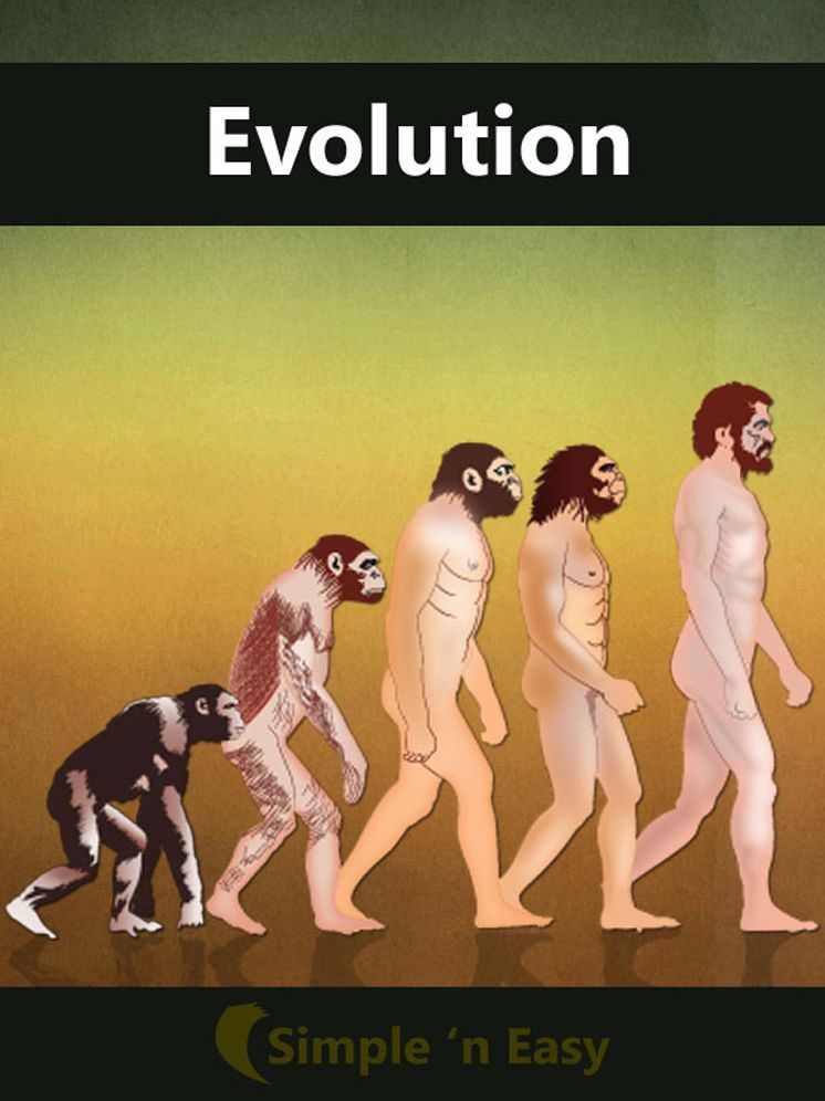 Evolution
