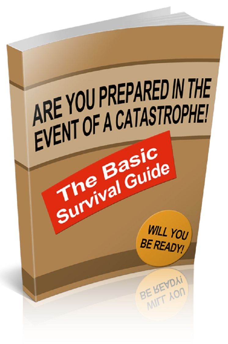 The Basic Survival Guide