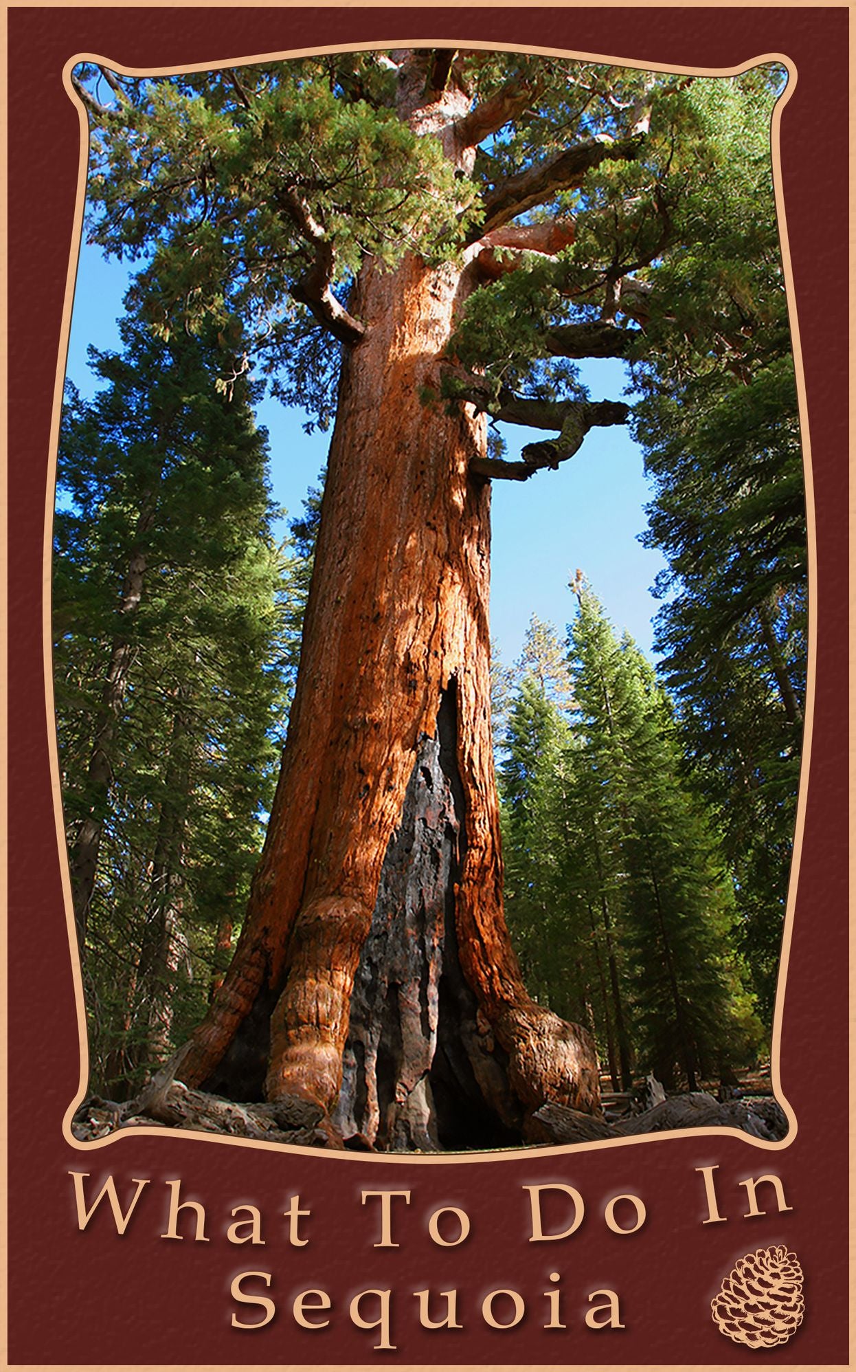 What To Do In Sequoia And Kings Canyon