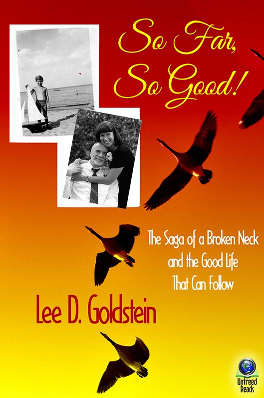 So Far, So Good: The Saga of a Broken Neck, and the Good Life that Can Follow