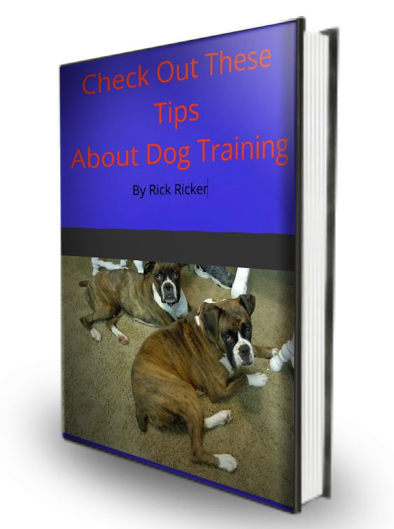 Check Out These Tips About Dog Training