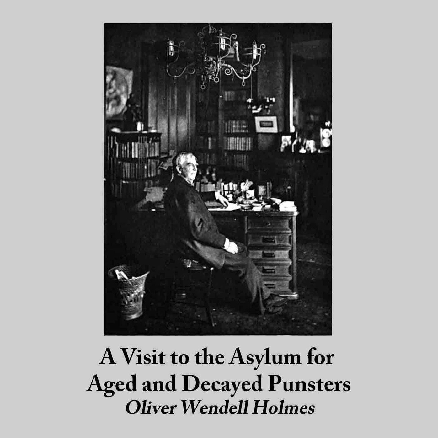 A Visit to the Asylum for Aged and Decayed Punsters