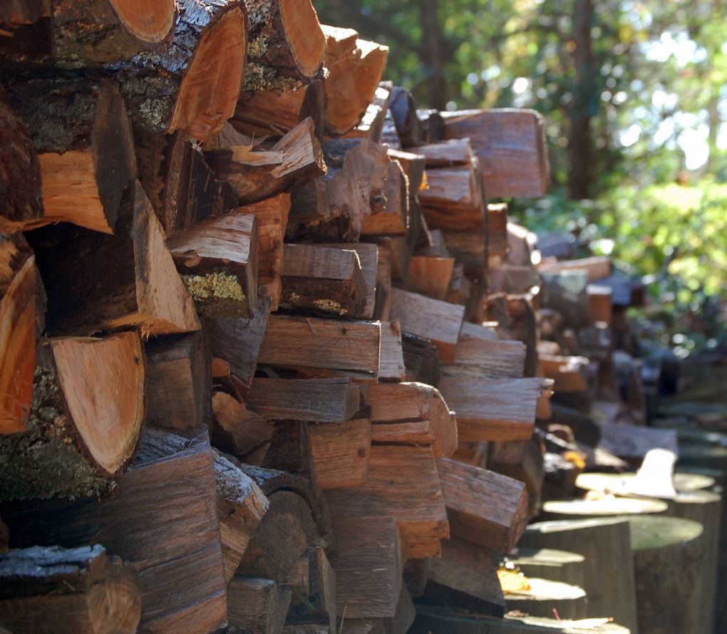 Firewood Delivery Service Start Up Sample Business Plan!
