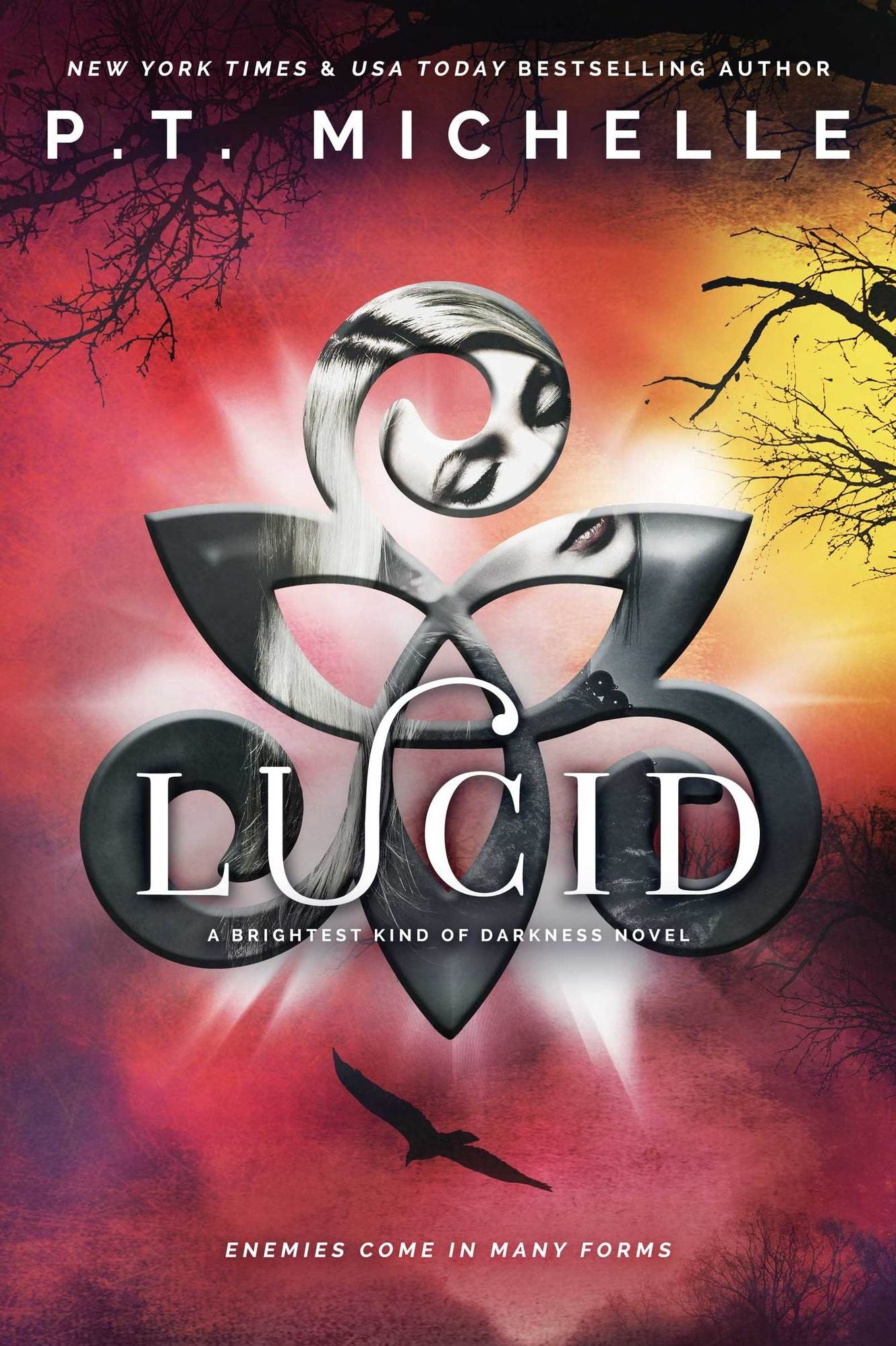 Lucid (Brightest Kind of Darkness, Book 2)