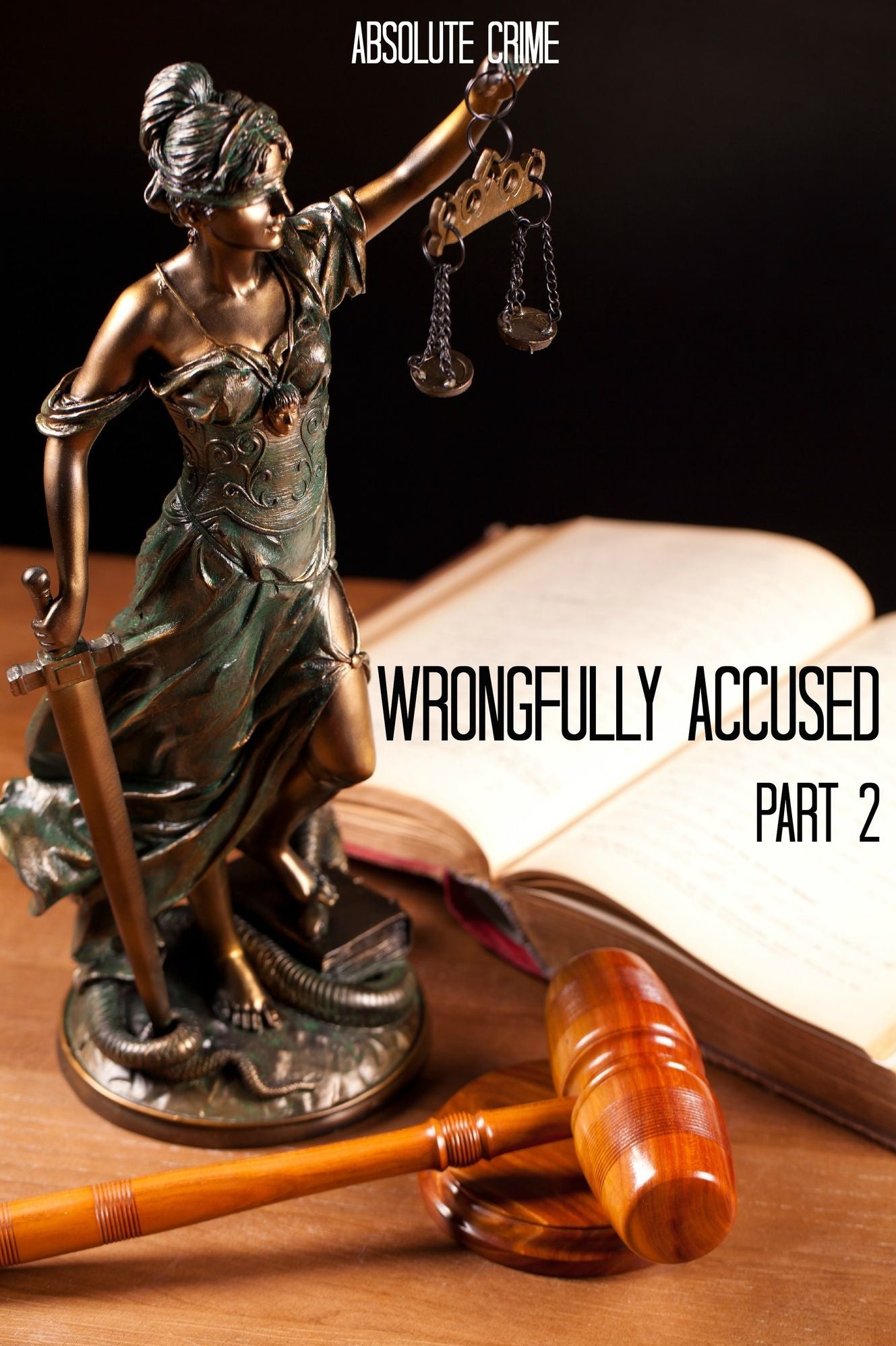 Wrongfully Accused #2: 15 More People Sentenced to Prison for a Crime They Didn't Commit