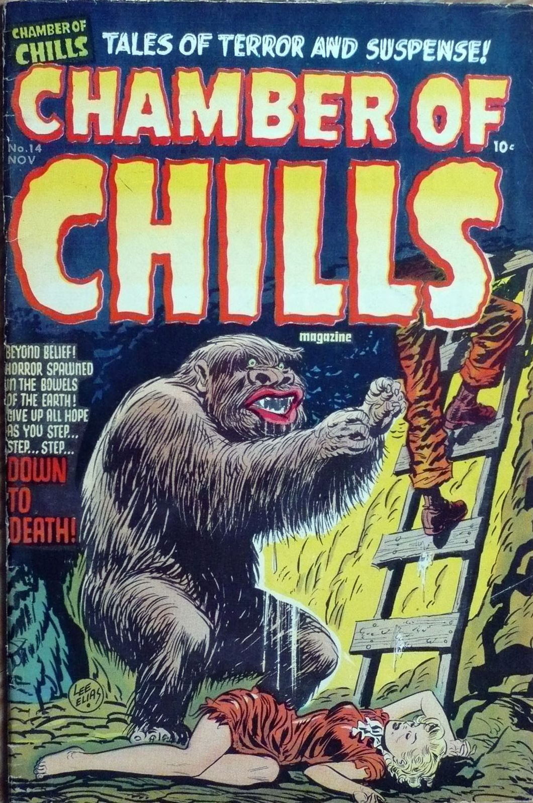 Chamber of Chills Number 14 Horror Comic Book