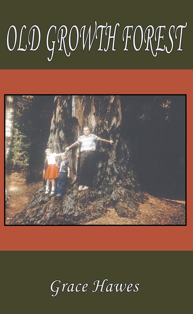 Old Growth Forest