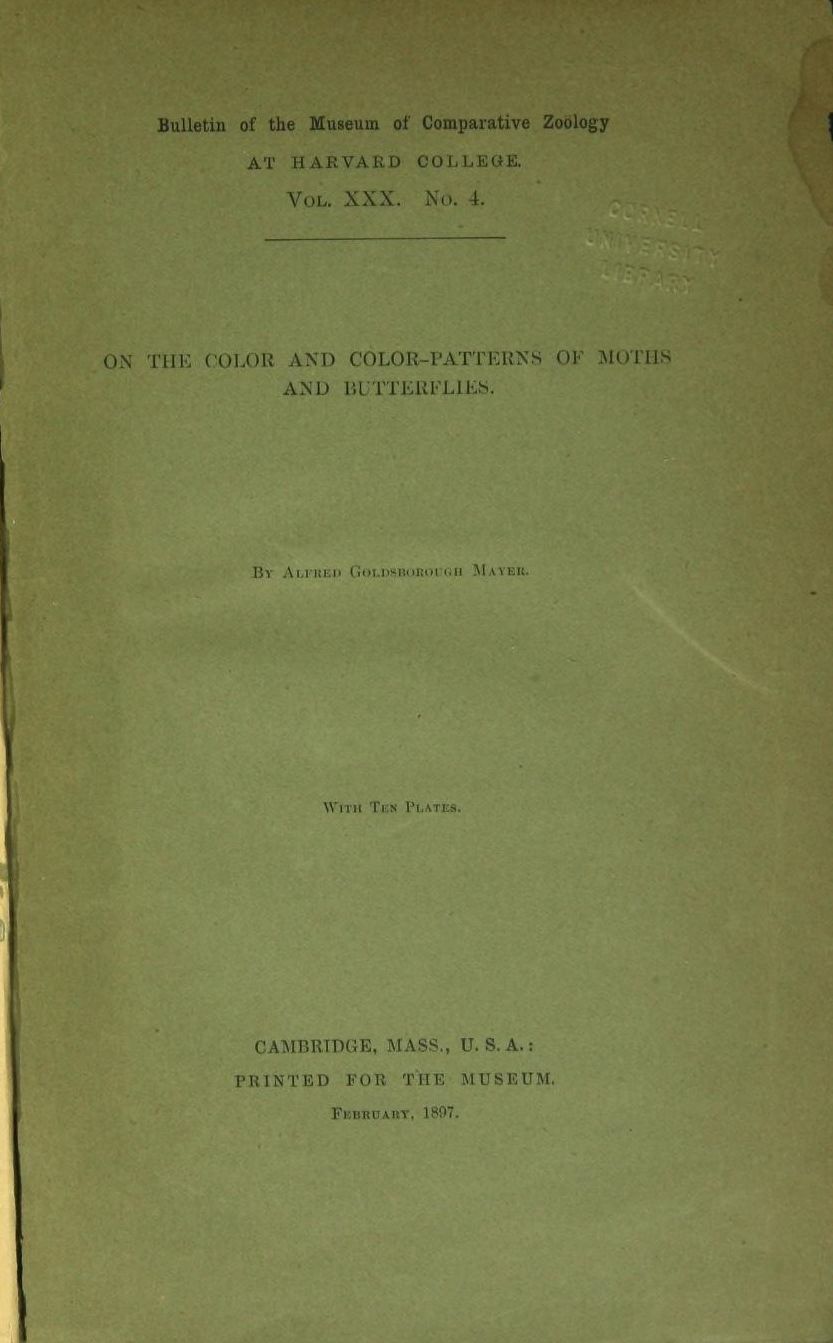 On the color and color-patterns of moths and butterflies