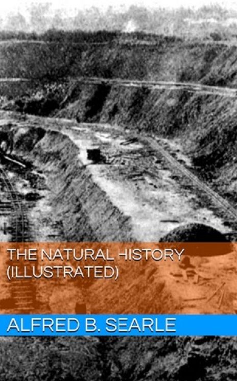 The Natural History (Illustrated)