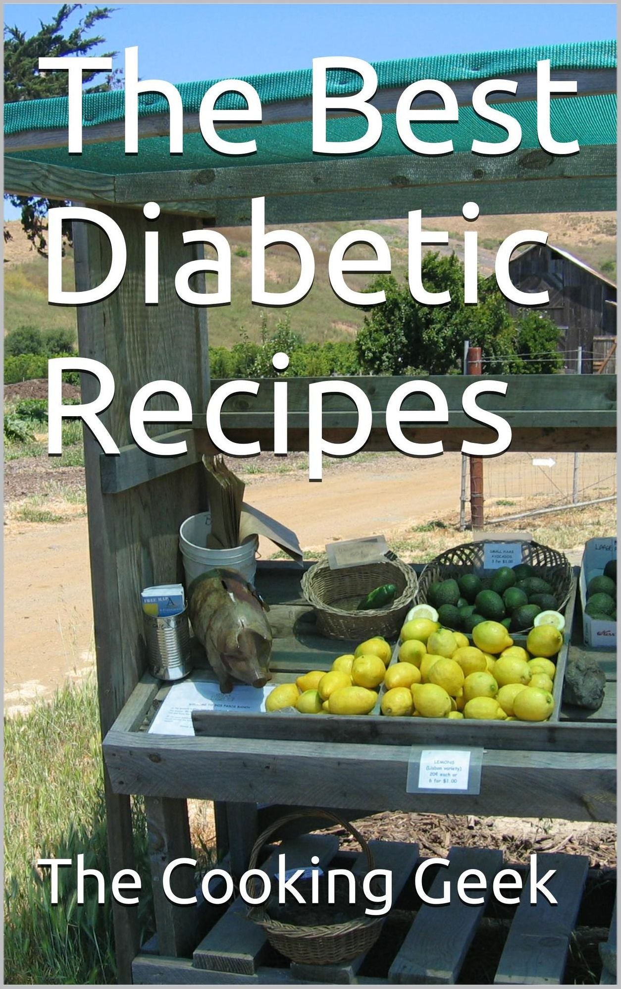 The Best Diabetic Recipes