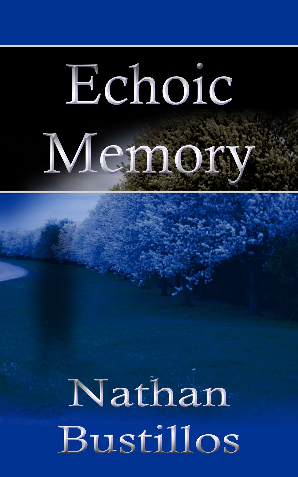 Echoic Memory