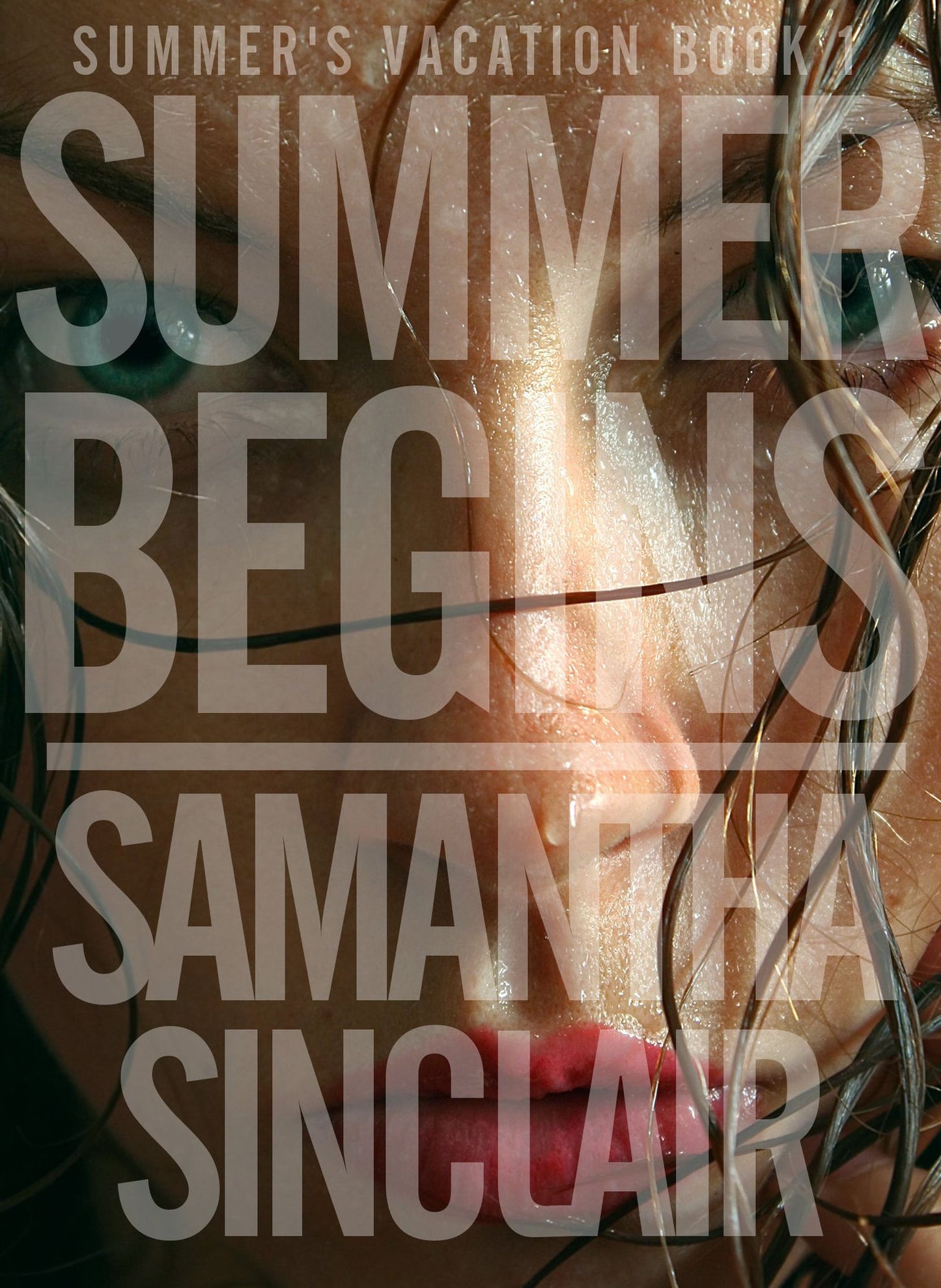 Summer Begins (Summer's Vacation Book 1)