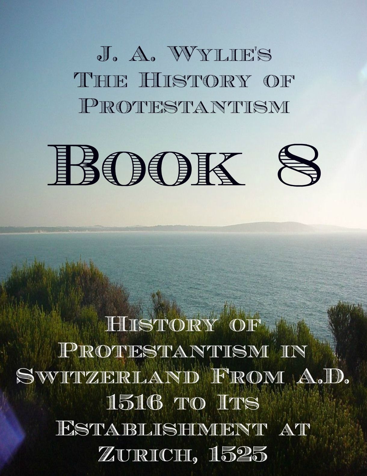 History of Protestantism in Switzerland From A.D. 1516 to Its Establishment at Zurich, 1525: Book 8
