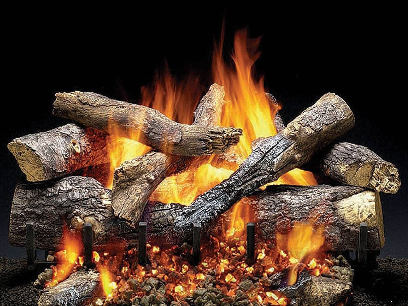 Fireplace Wood Stove Retail Store Start Up Sample Business Plan!