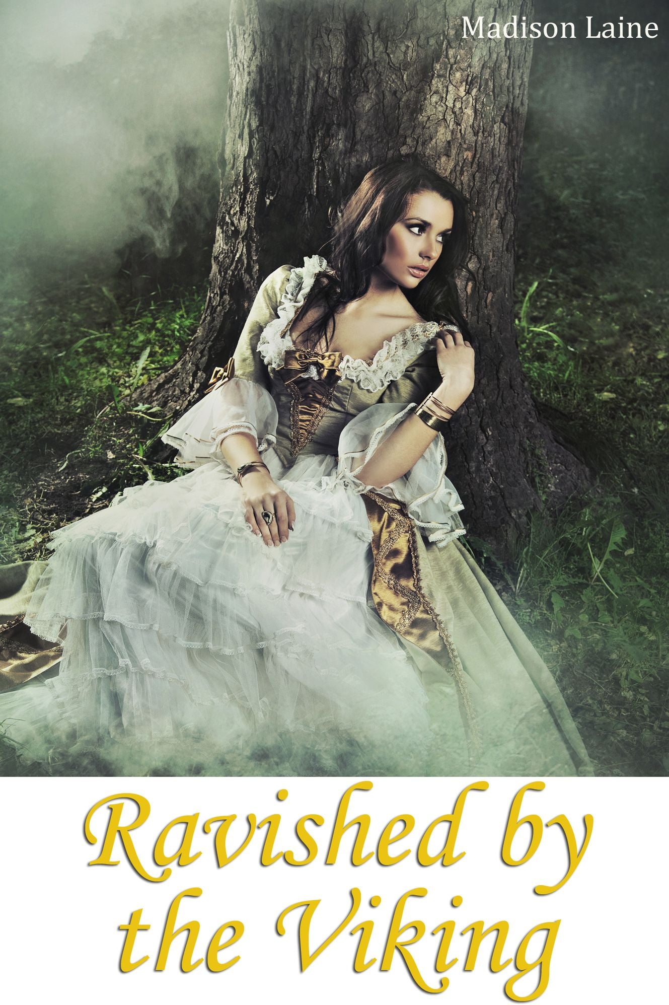 Ravished by the Viking (Viking Erotica)