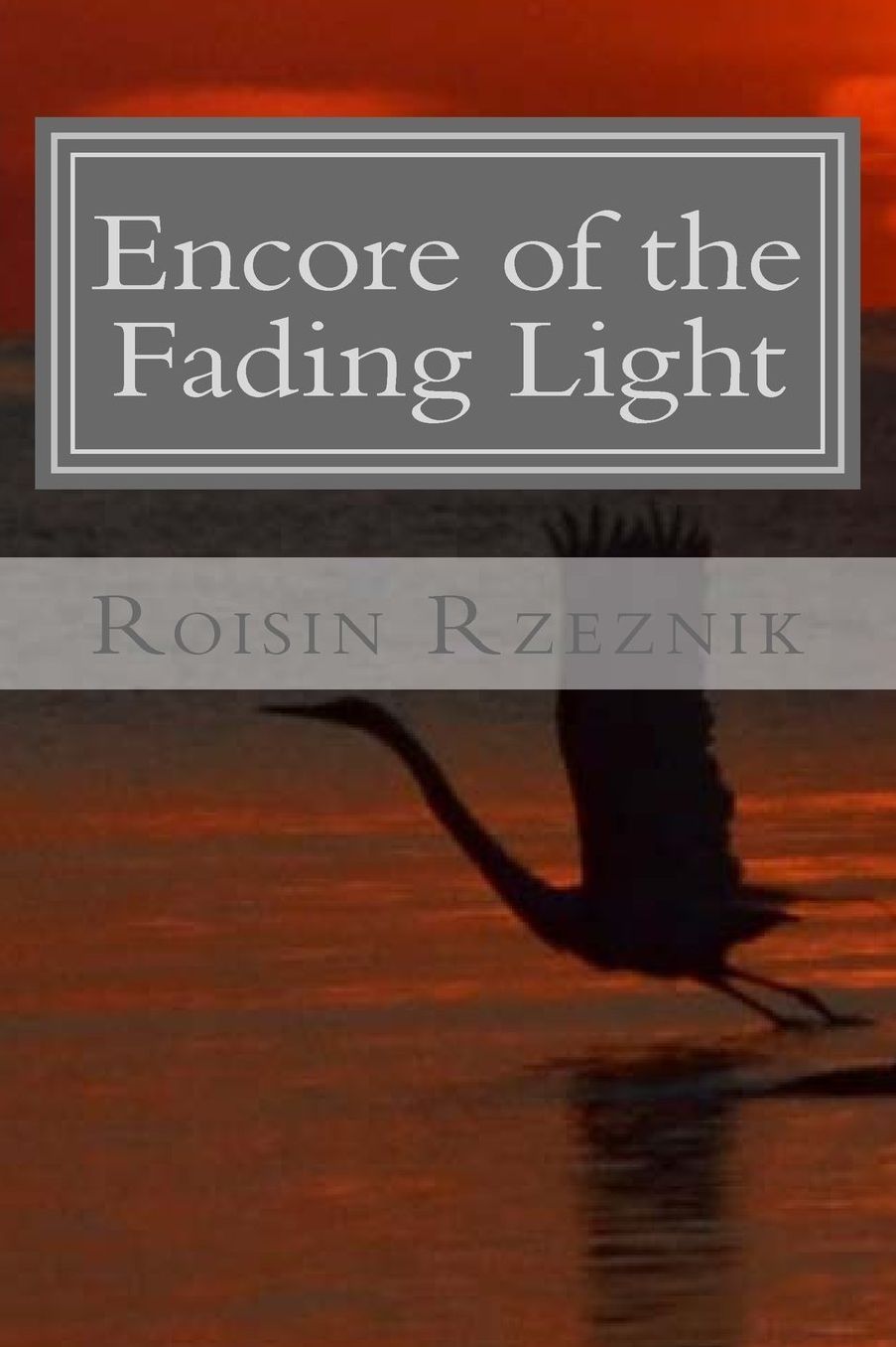 Encore Of The Fading Light