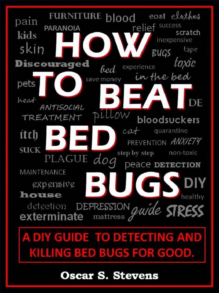 How To Beat Bed Bugs