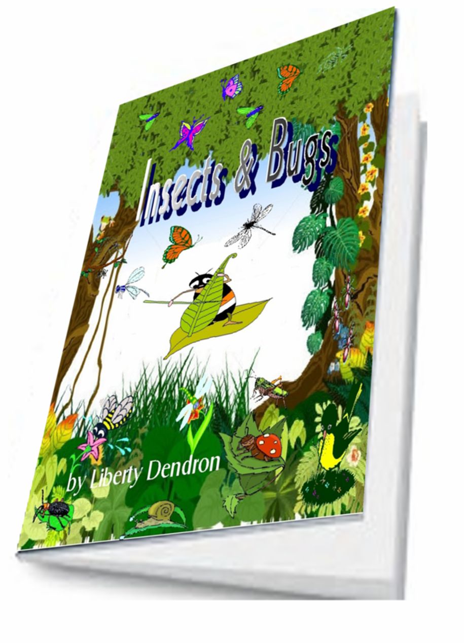 Insects & Bugs