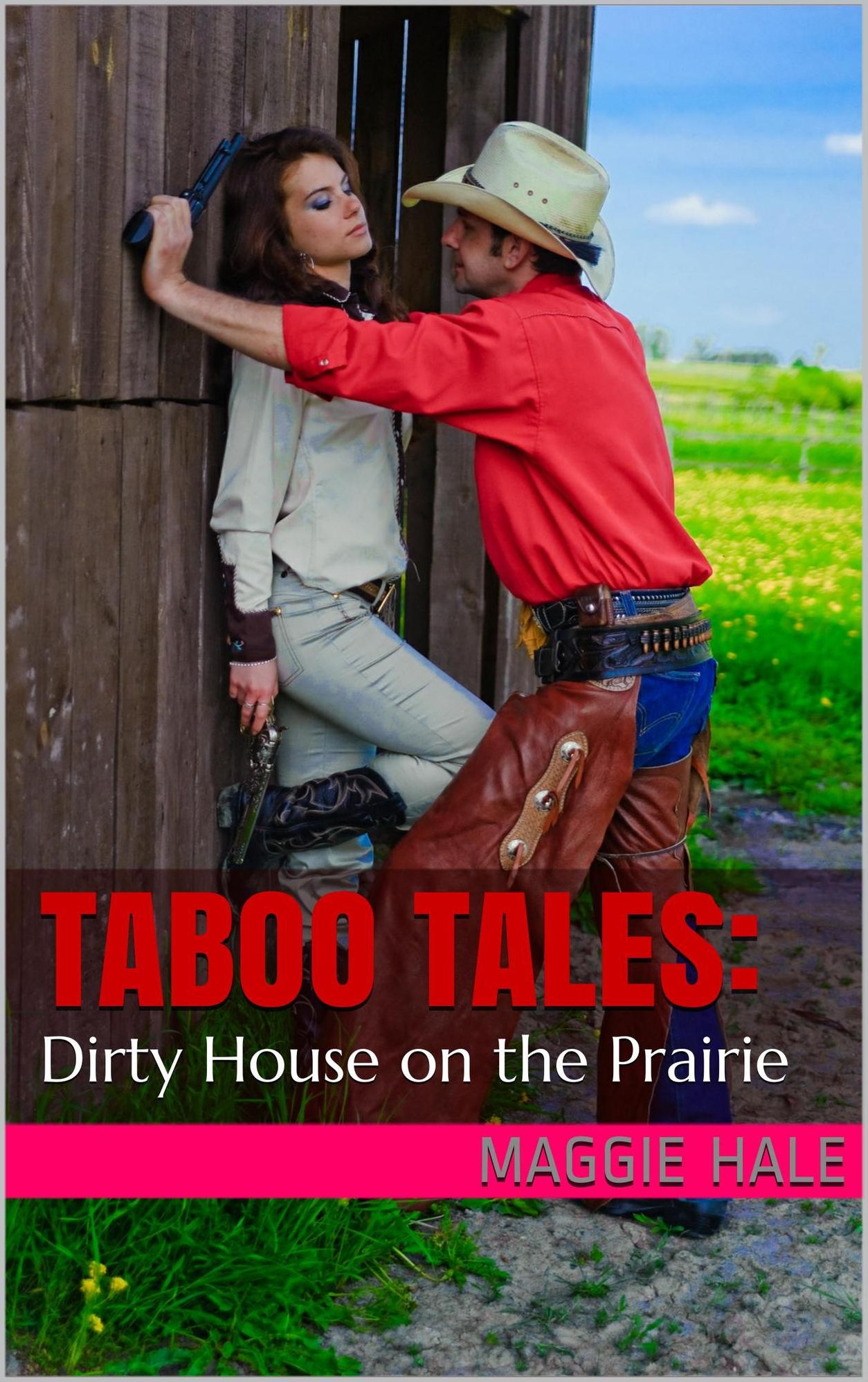 Dirty House on the Prairie