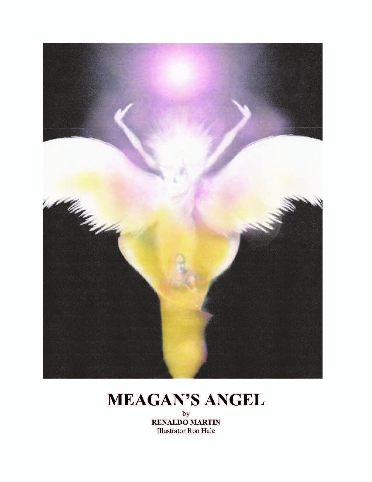 Meagan's Angel