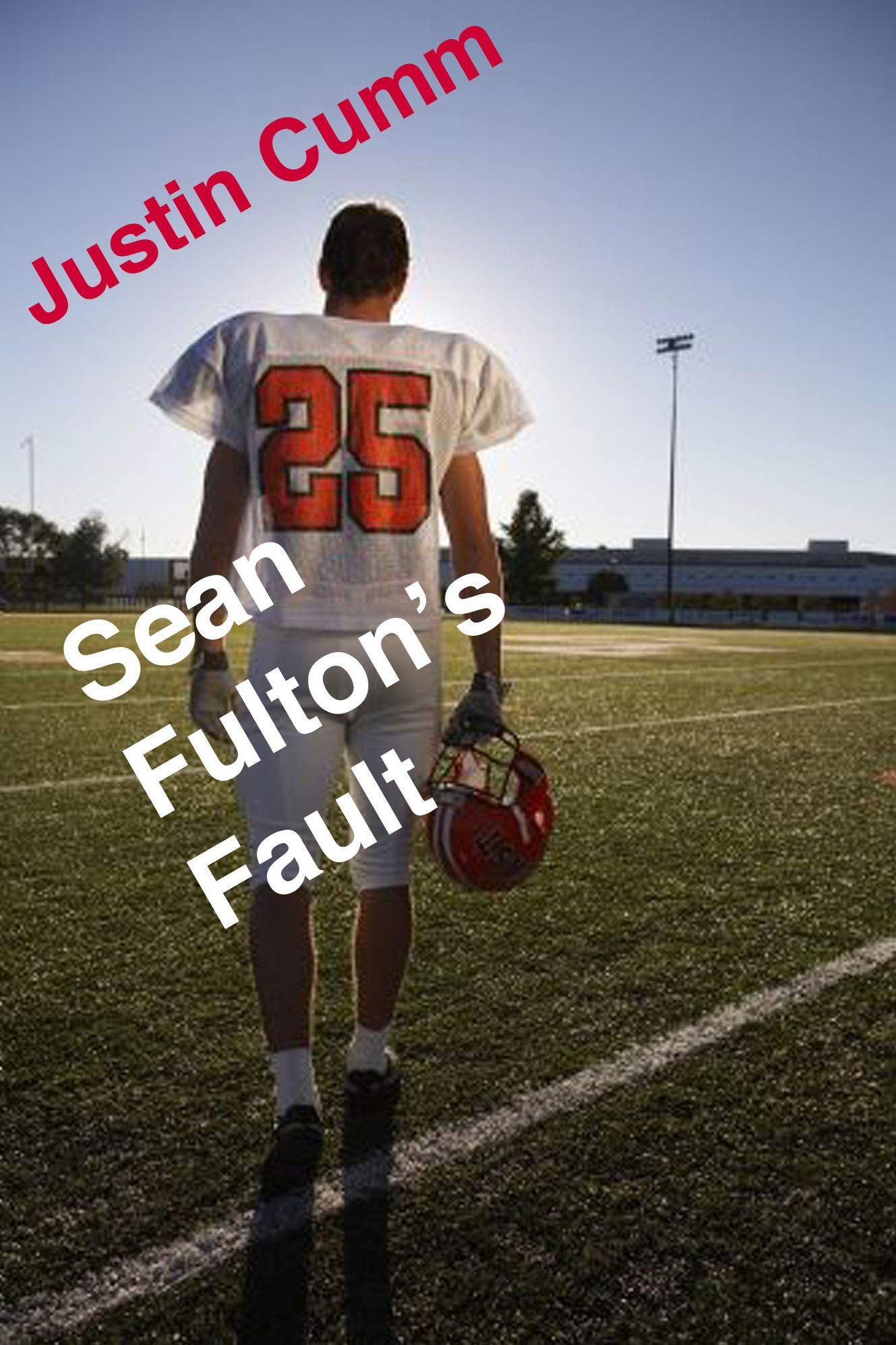 Sean Fulton S Fault