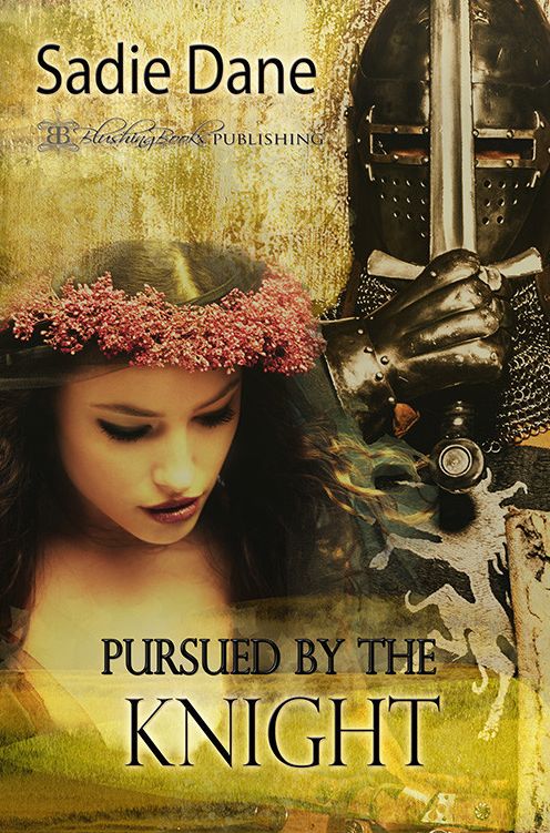 Pursued by the Knight: Loving the Knight, Book Two