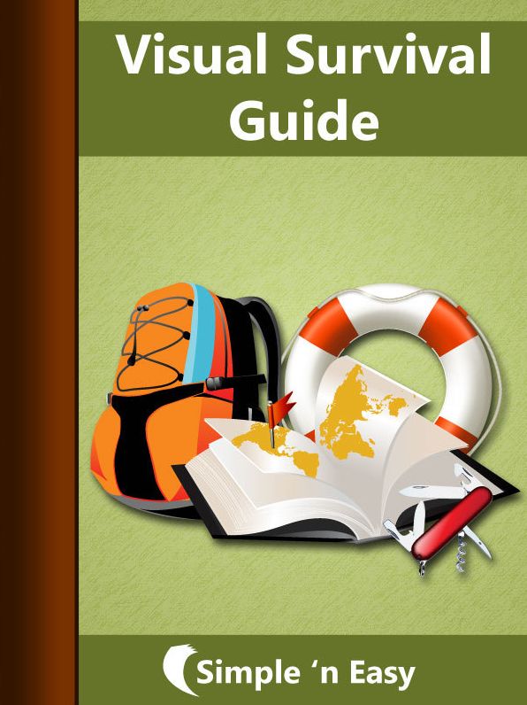 Visual Survival Guide